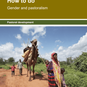 A new ‘How-to-Do Note’ provides guidance on designing and implementing ‘gender and pastoralism’&nbsp;projects