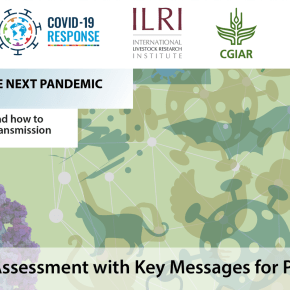 Unite human, animal and environmental health to prevent the next pandemic, says ILRI/UN&nbsp;report