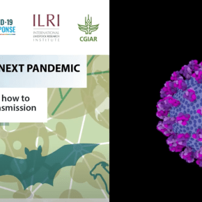 Joint UN-CGIAR assessment explains how animal-to-human pandemics like COVID-19 occur and how to prevent them in&nbsp;future