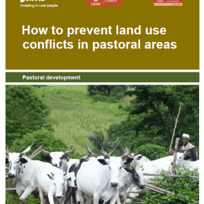 A new ‘How-To-Do’ note provides guidance on addressing land-use conflicts in pastoral&nbsp;areas