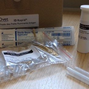 Training researchers virtually when supplies can cross borders but people&nbsp;cannot