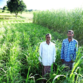 Remembering Michael Blümmel