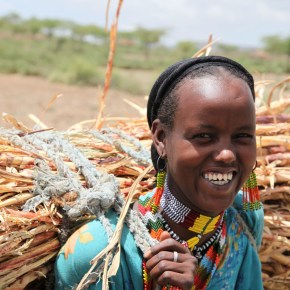 International Livestock Research Institute becomes Global Landscapes Forum charter&nbsp;member